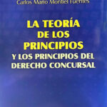 La Teoría de los principios