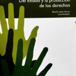 Manual de Constitución y Democracia: Del Estado y la protección de los derechos
